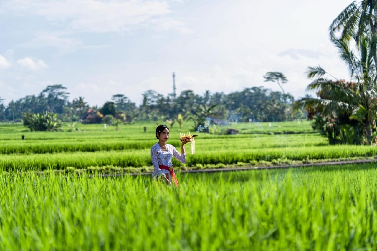 Kubu Bali Baik & - Chse Certified Villa *