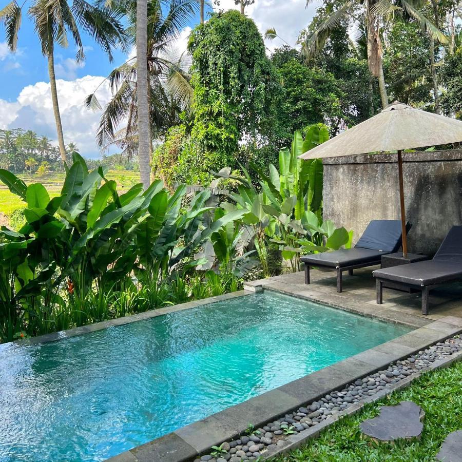 Kubu Bali Baik & - Chse Certified *