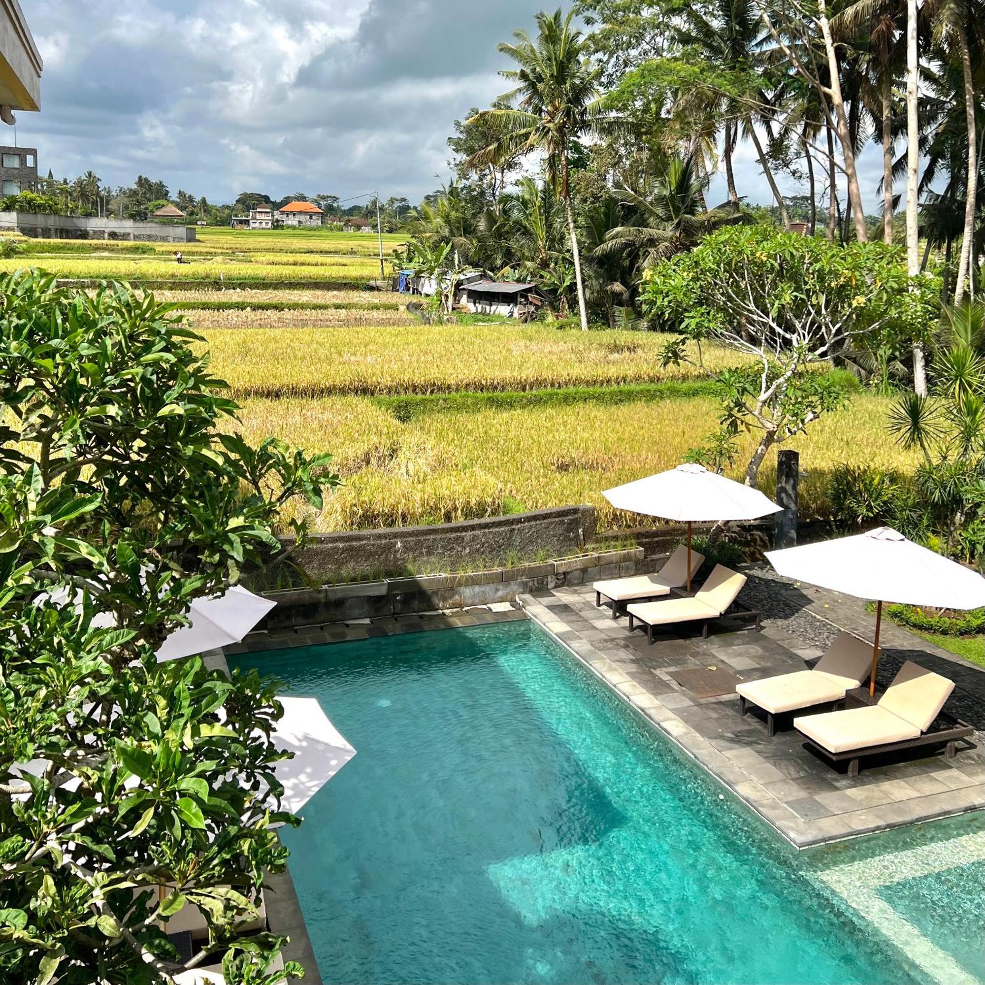 Villa Kubu Bali Baik & - Chse Certified